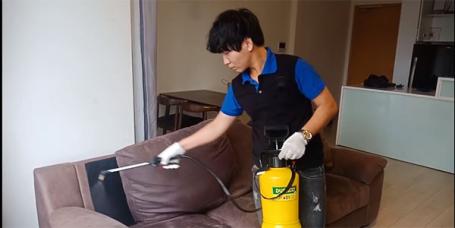 (Bắc Ninh) Bí quyết sử dụng dung dịch làm sạch ghế da sofa tại nhà 
