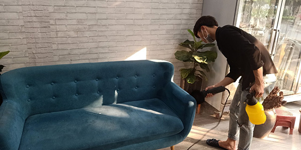 vệ sinh ghế sofa
